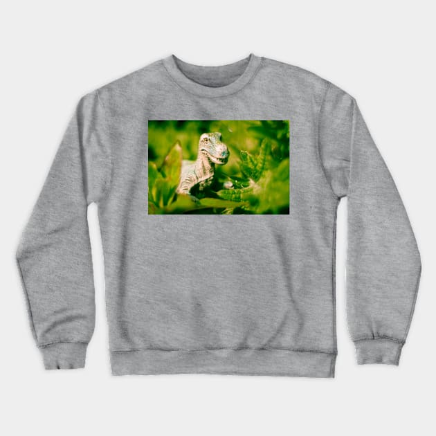 Nostalgic Rex Crewneck Sweatshirt by SimplyMrHill